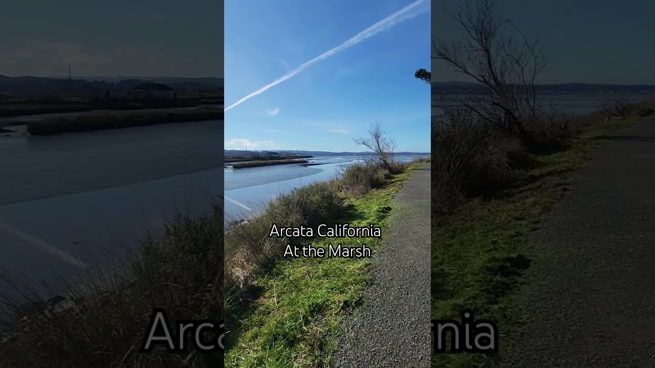 Living in Arcata California 🌼