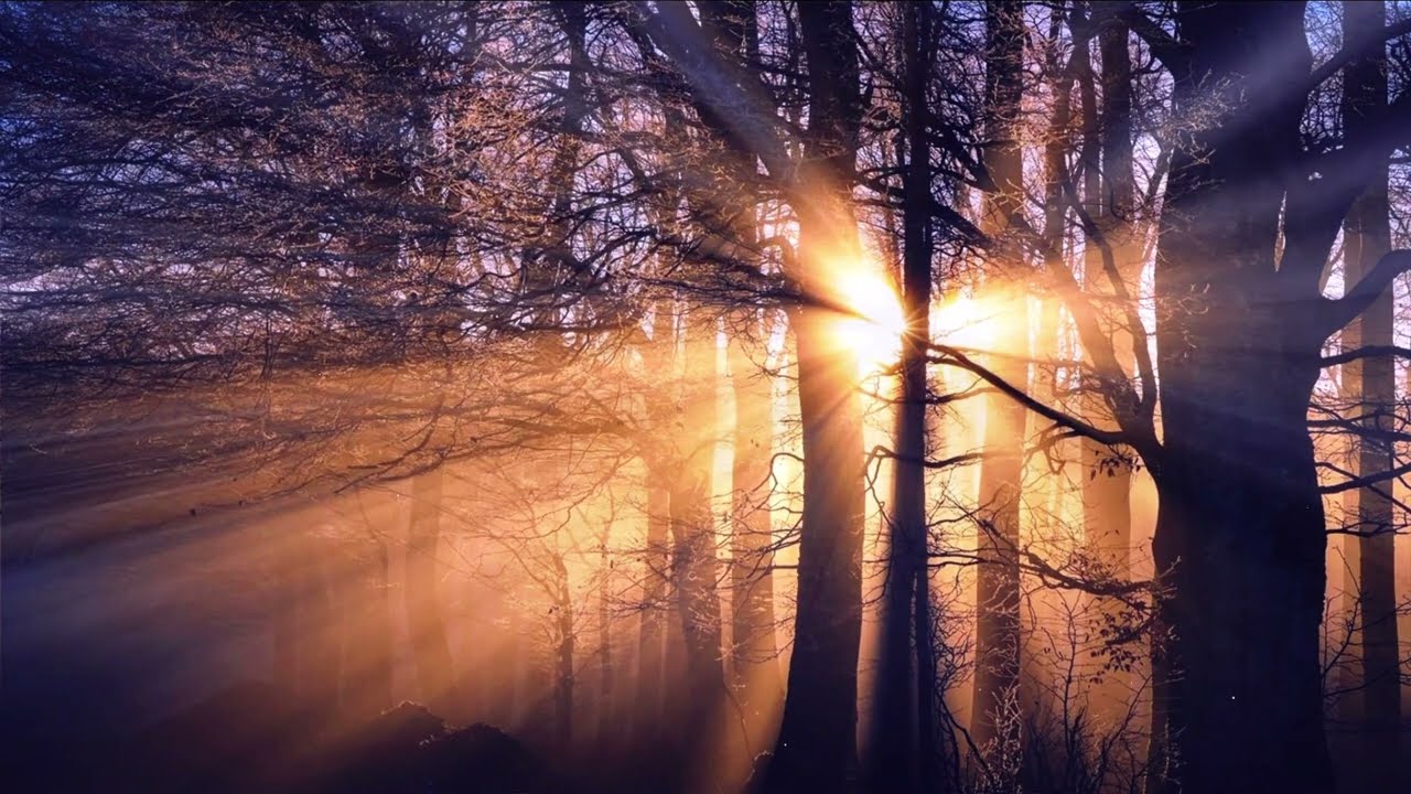 Unlocking spiritual tranquility with 10 minutes of Gregorian chants