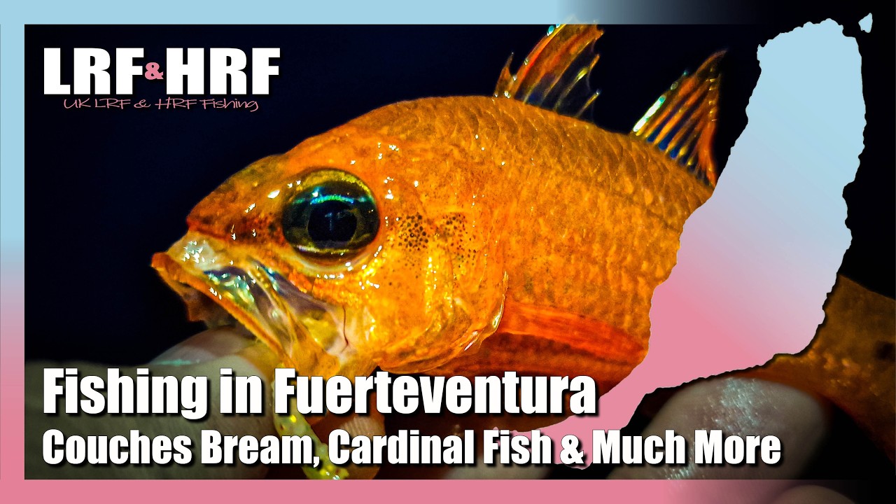 Fishing In Fuerteventura: Couches Bream, Cardinal Fish, Lizardfish & Much More!