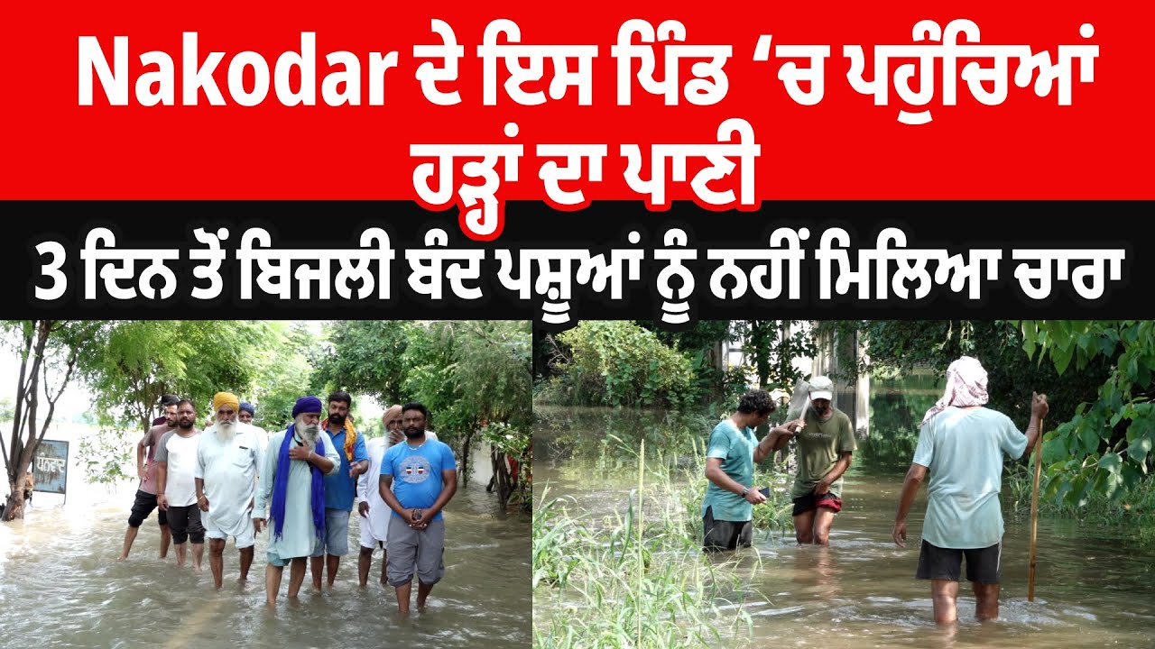 Nakodar ਦੇ ਇਸ ਪਿੰਡ ‘ਚ ਪਹੁੰਚਿਆਂ ਹੜ੍ਹਾਂ ਦਾ ਪਾਣੀ, 3 ਦਿਨ ਤੋਂ ਬਿਜਲੀ ਬੰਦ ਪਸ਼ੂਆਂ ਨੂੰ ਨਹੀਂ ਮਿਲਿਆ ਚਾਰਾ