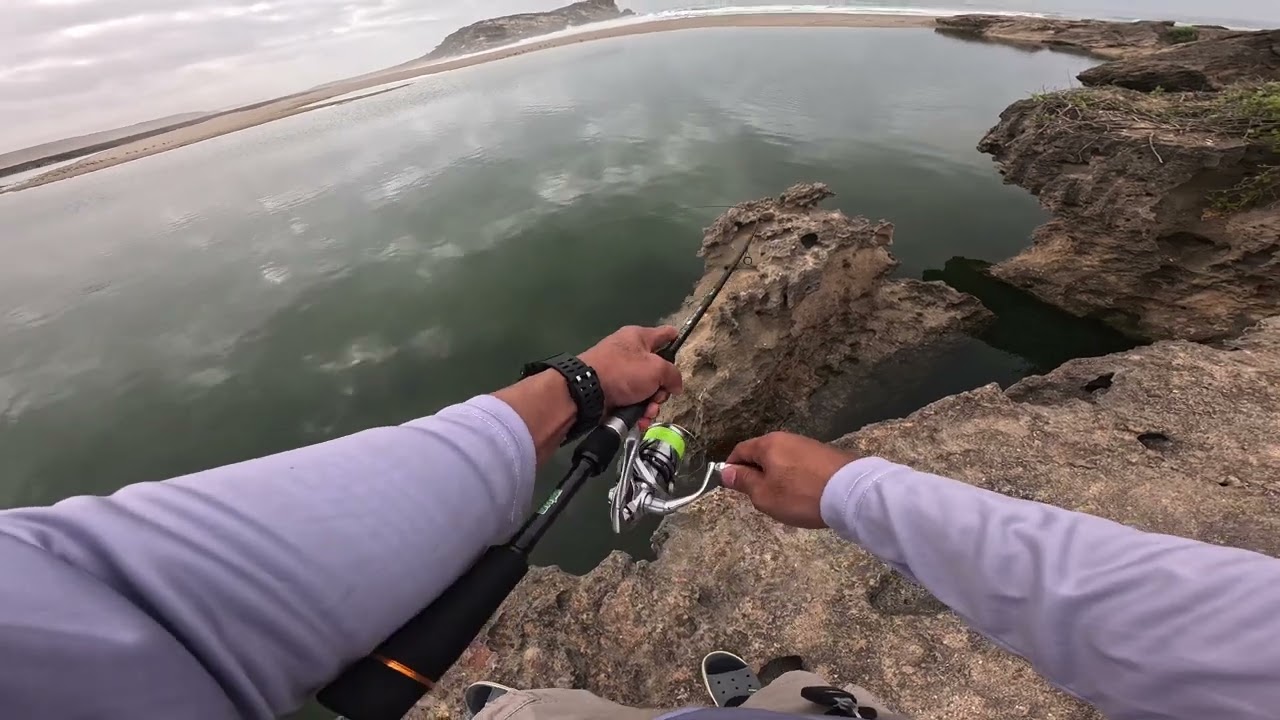 Shimano stradic FM field test part 2