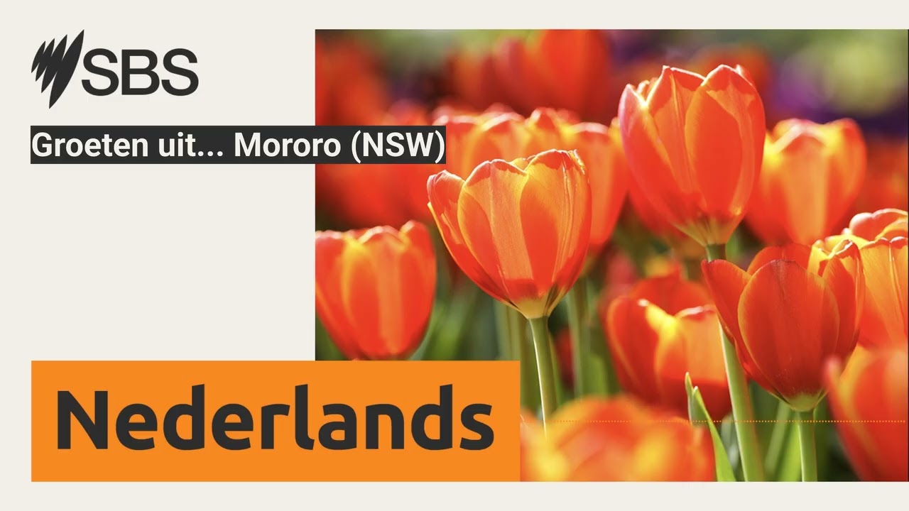 Groeten uit... Mororo (NSW) | SBS Dutch - SBS Nederlands