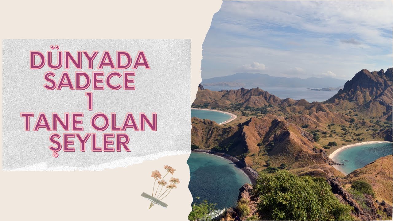 Dünyadaki sadece 1 tane olan şeyler
