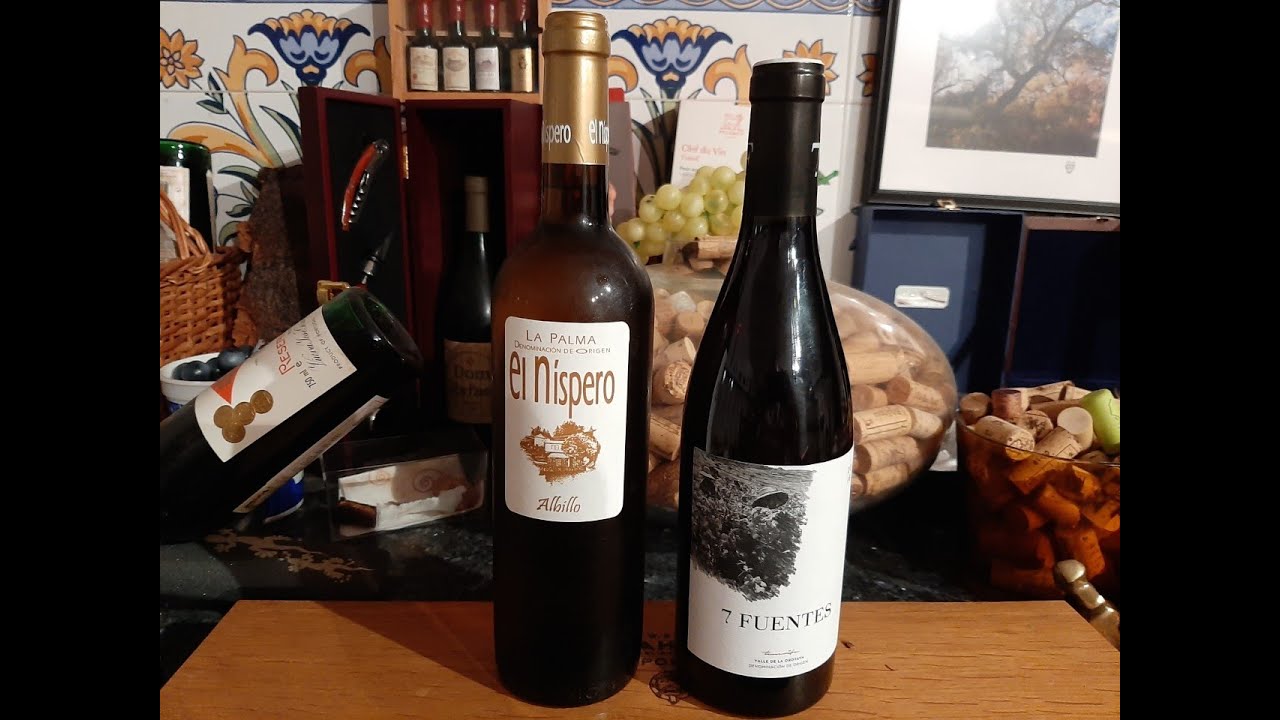 46 - Vinos volcánicos. Vinos de Canarias