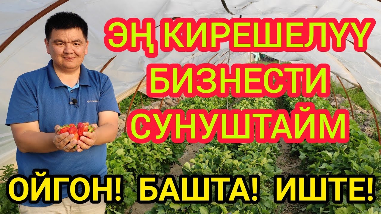 КУЛПУНАЙ бизнеси ЭҢ КИРЕШЕЛҮҮ болот  |  Кыргызстанда да БАШТАЛДЫ