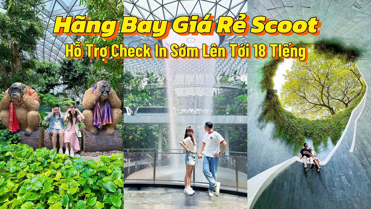 Trải nghiệm hãng bay giá rẻ Scoot từ Việt Nam - Singapore, được check in sớm lên tới 18 tiếng