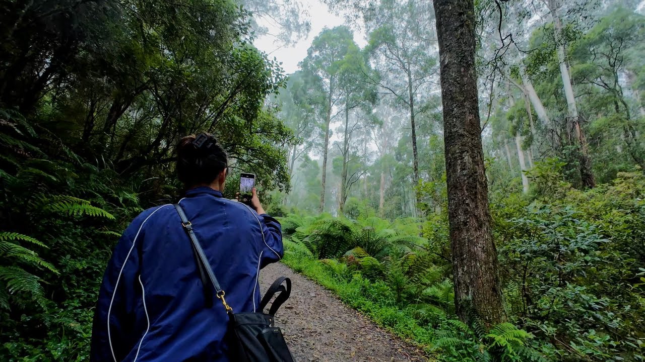Kokoda Track Memorial Walk - 20/12/2025