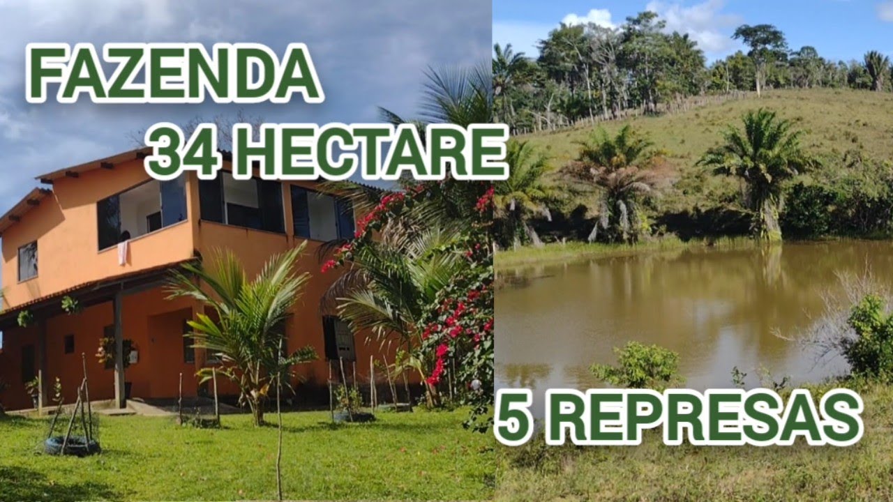 FAZENDA TOP 34 HECTARE em Ilhéus BA 5 REPRESAS , PASTOS FORMADOS, CASAS #avenda