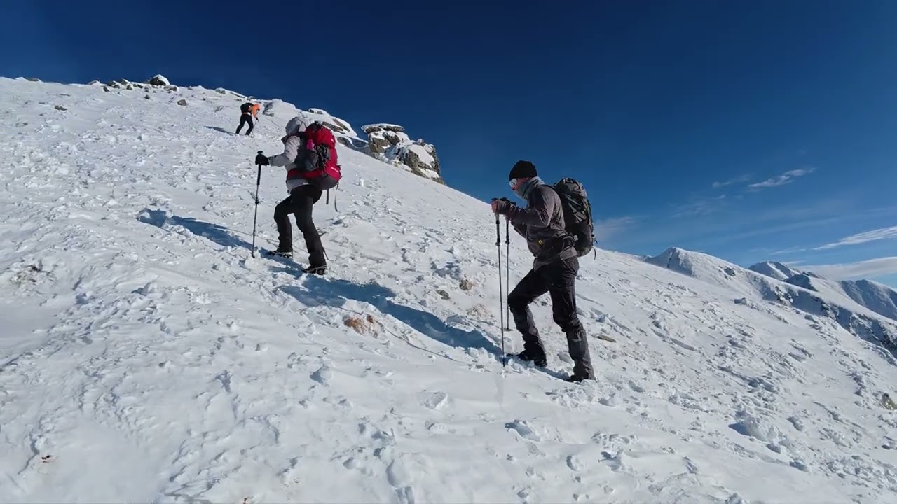 Solisko 2026 02