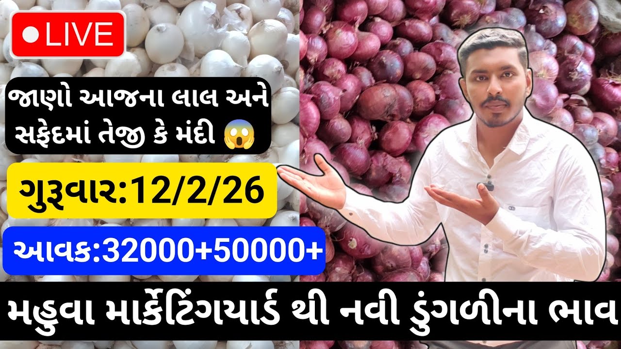 મહુવા થી લાલ અને સફેદડુંગળીના ભાવ🔥| 12/2/26 | White & Red Onion Market Rate Today💸| लाल ओर सफेद भाव🧅