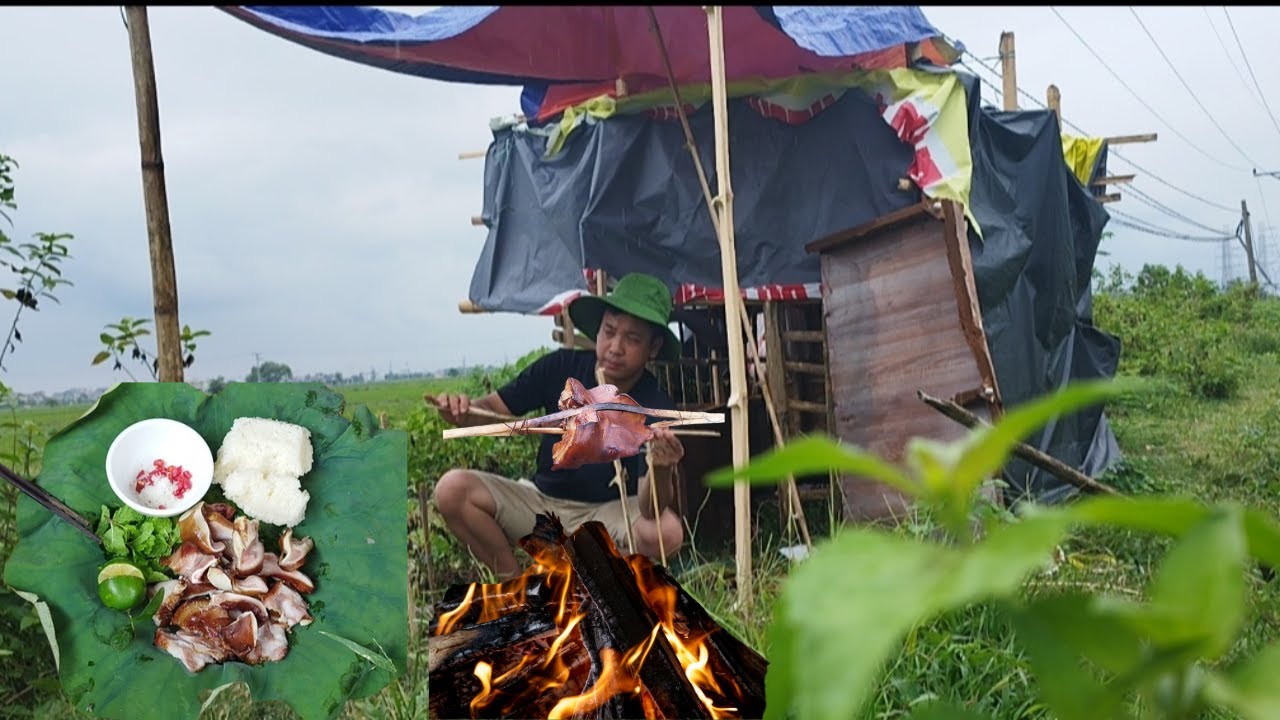 Building A Cozy Survival Hut in the countryside - Grilled Meat Feast