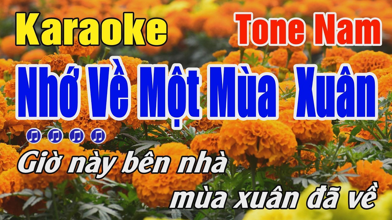 Nhớ Về Một Mùa Xuân Karaoke Tone Nam ( Eb ) Karaoke Bo Music