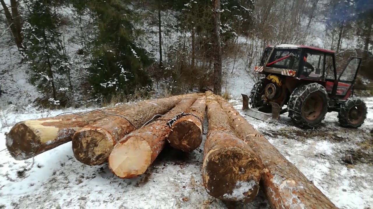 Ťažba dreva - Zetor 6945