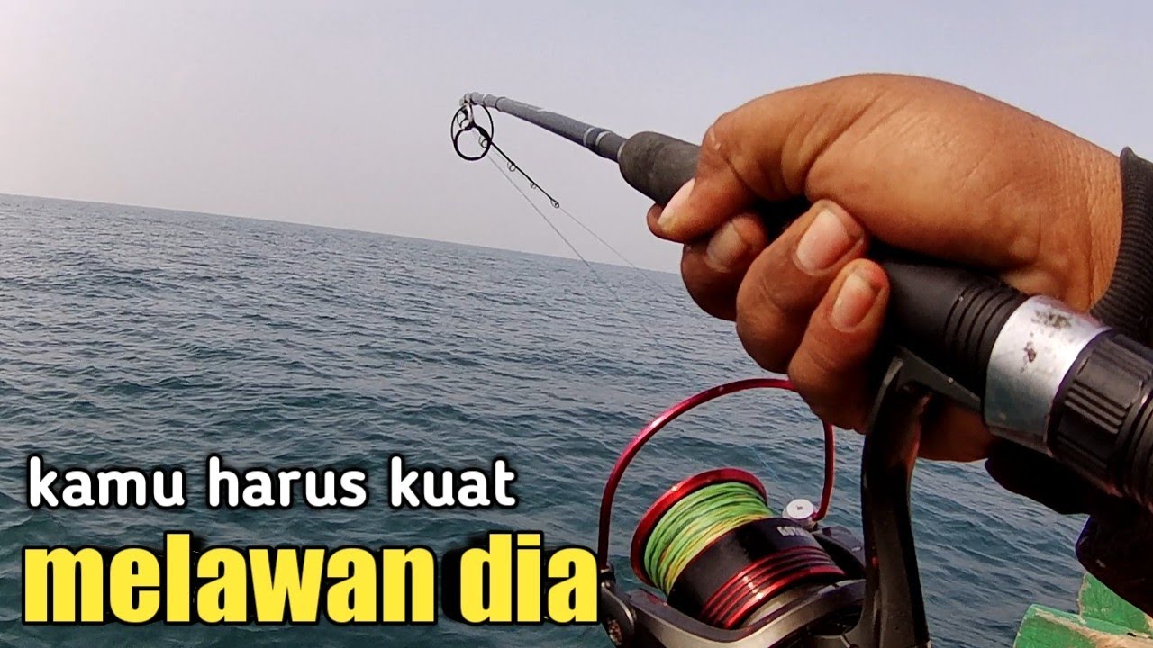 Beginilah resiko mancing ikan besar pakai piranti murah