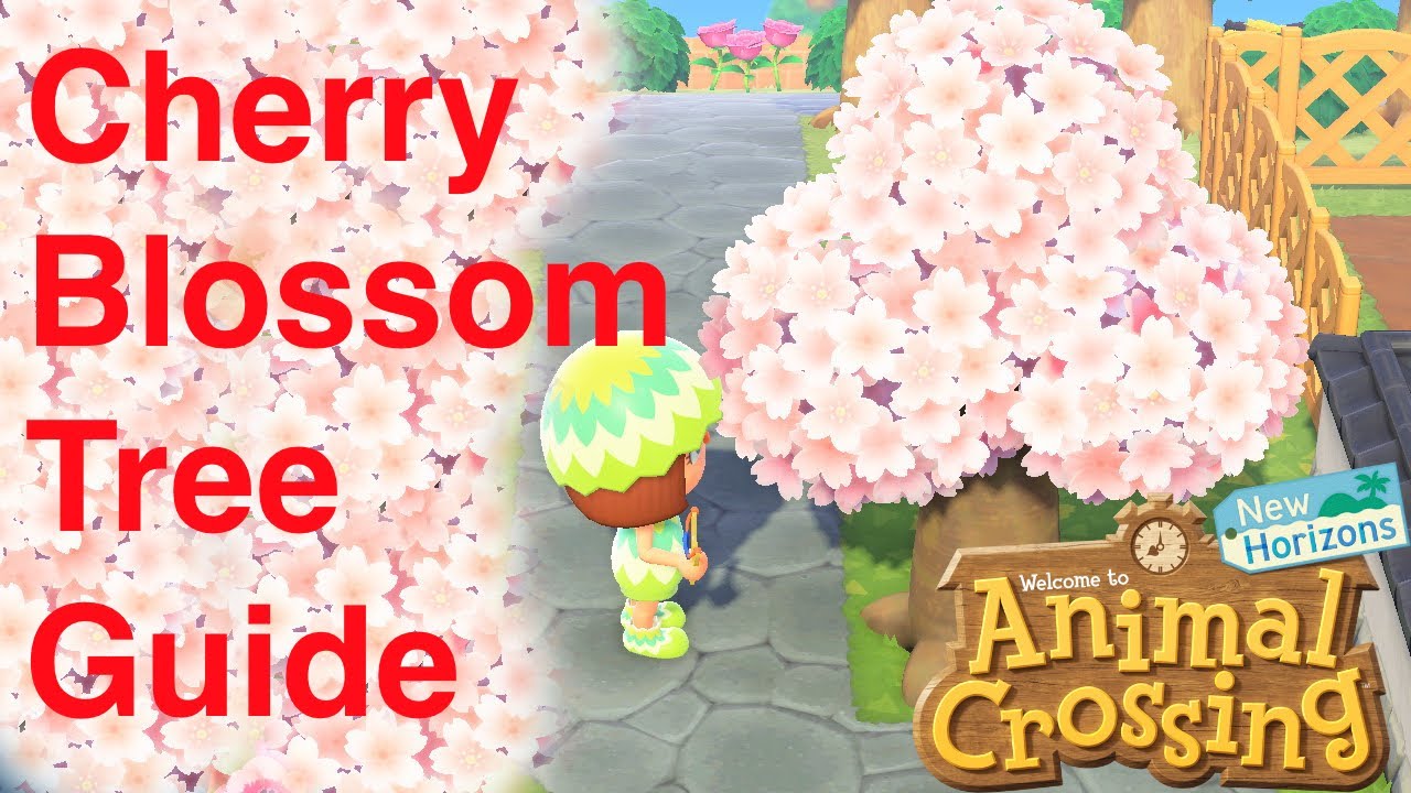 Cherry Blossom Tree Guide | ACNH | Spring Season