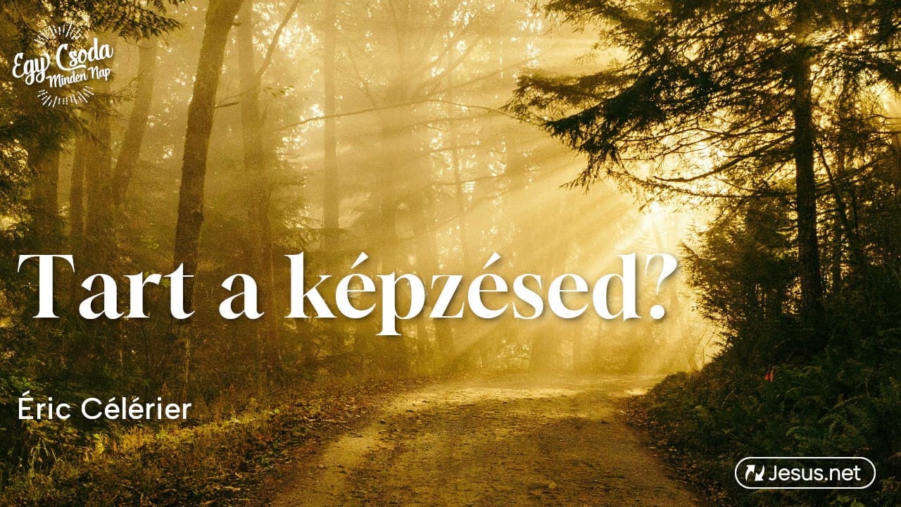 Tart a képzésed, Testvérem?