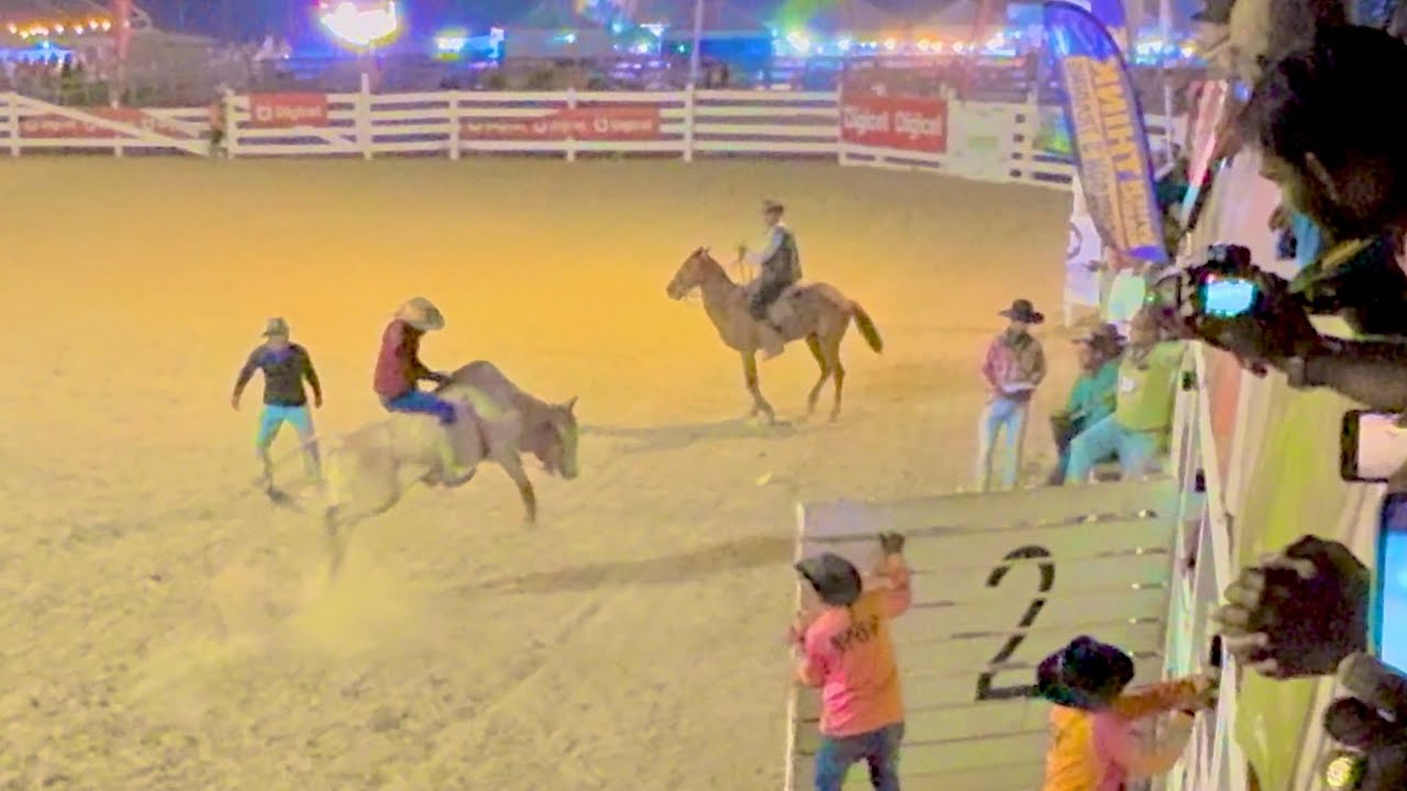 BULL RIDING COMPETITION # RUPUNUNI RODEO