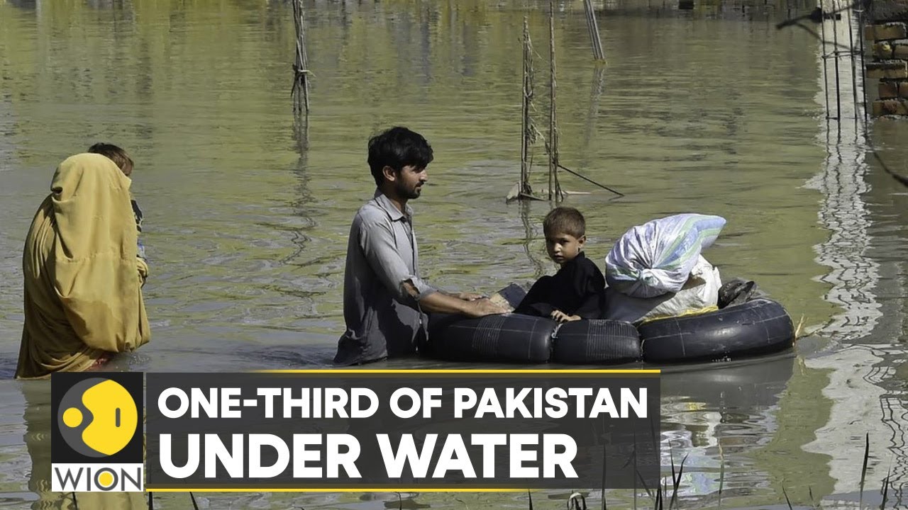 WION Climate Tracker | Floods & incessant rainfall wreak havoc in Pakistan