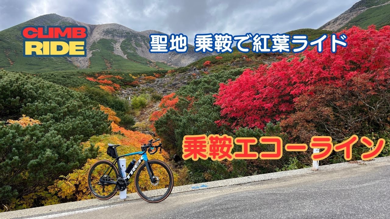 【乗鞍エコーライン】サイクリストの聖地 乗鞍 で紅葉ライド！