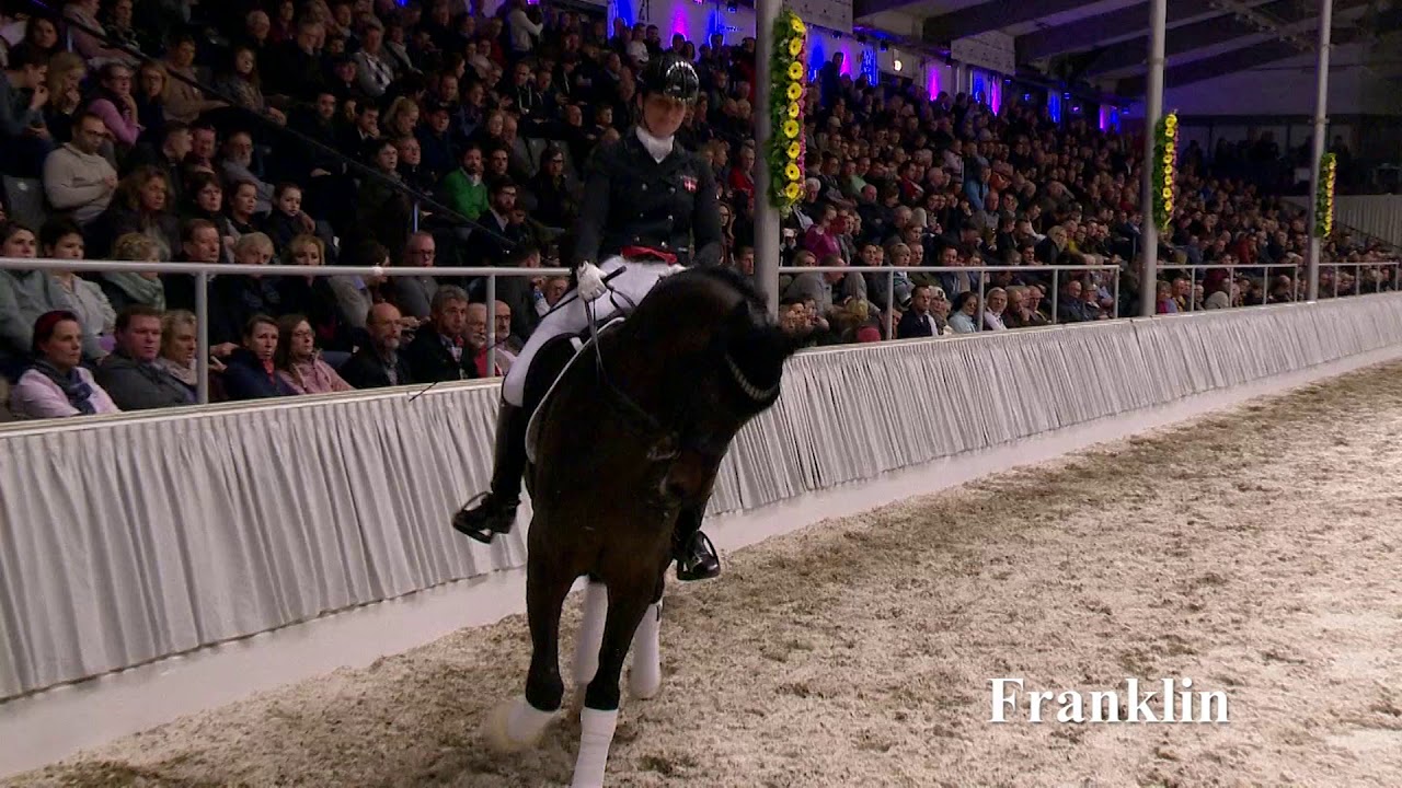 Franklin-Hengstkollektion 2019 deutsch