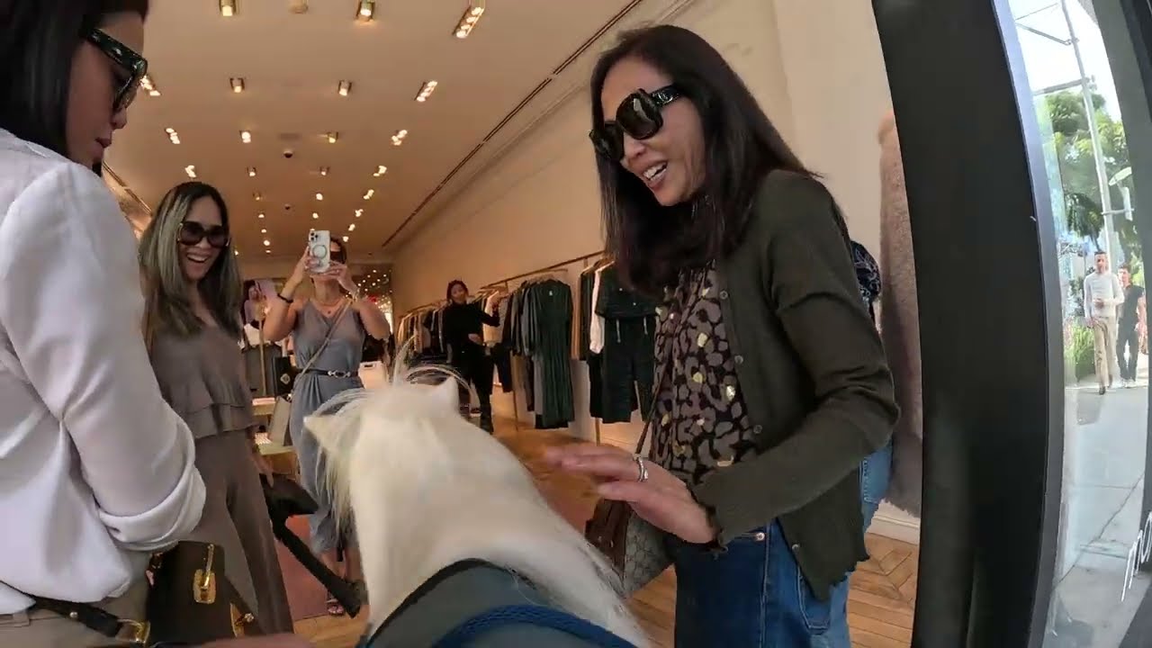 Lt. Rowdy takes a walk around Rodeo Drive 8 - 10 100423.
