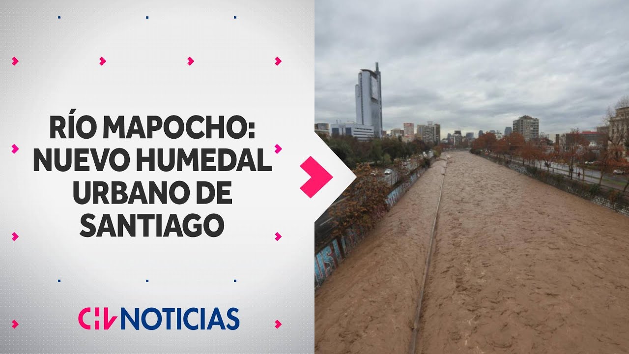 Río Mapocho es declarado humedal urbano en Santiago: ¿Qué significa este cambio?
