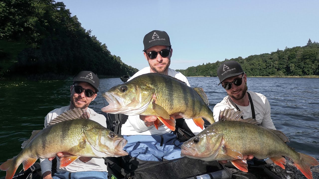 Barsche fangen mit Jigs und Hardbaits im Sommer