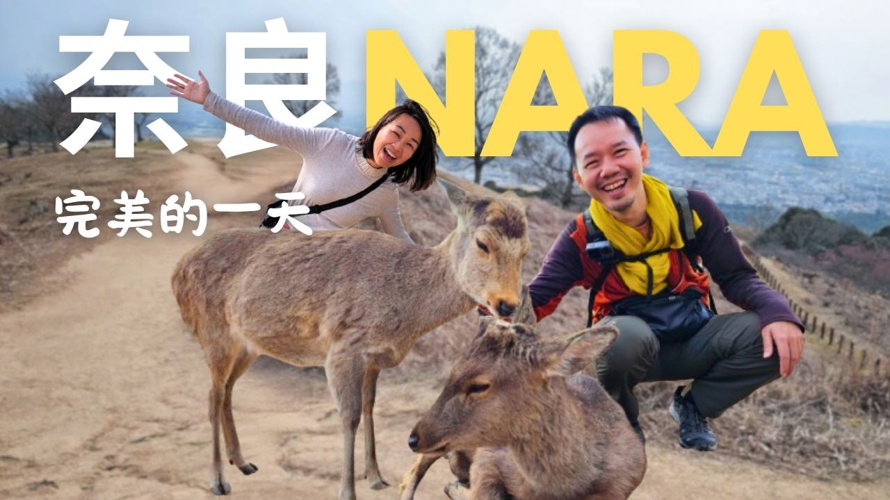 【奈良一日遊】這樣玩就完美了！但我們竟然被最有禮貌的鹿鄙視 🦌😵  | 東大寺 / 若草山 / 隱藏版日式庭園 / 中谷堂麻糬 / 鹿兒島黑毛豬 | Nara, Japan