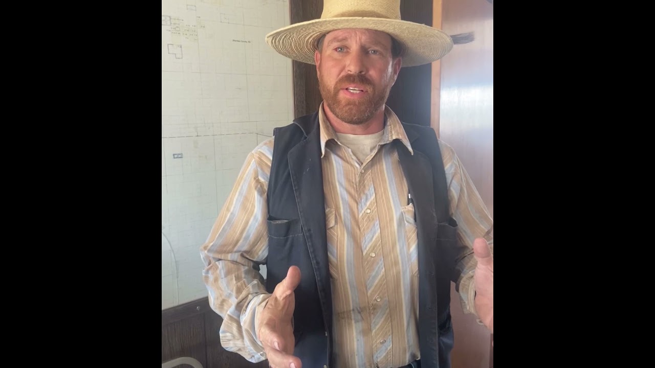 How to weigh your horse