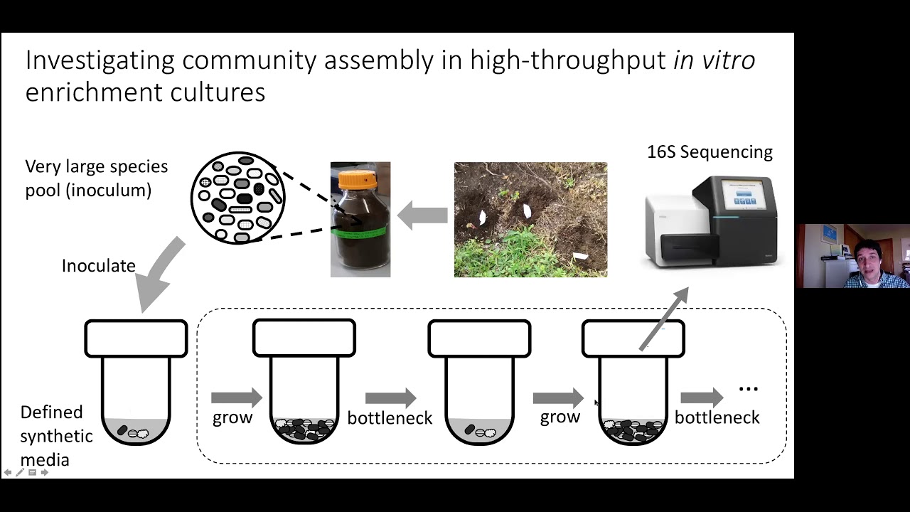 The assembly and evolution of microbial communities - Part 2
