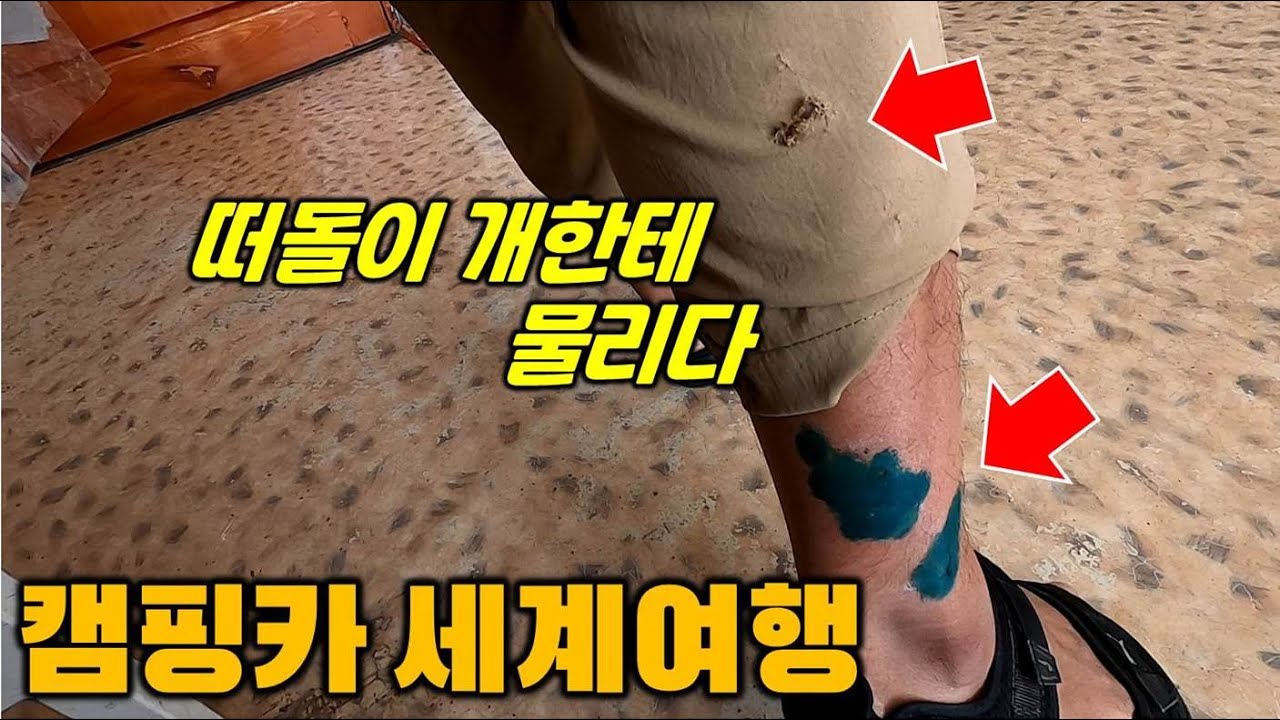 세계여행 중 떠돌이 개에게 물리다. 캠핑카 세계여행. 키르기스스탄2