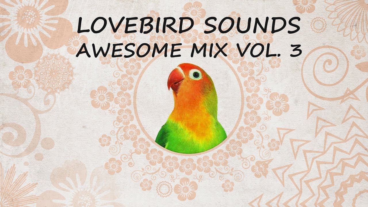Lovebird Sounds - Awesome Mix Vol. 3