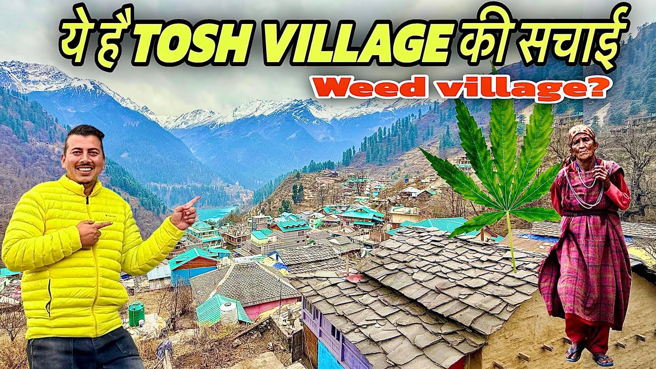 ये है Tosh village का असली सच 🤦‍♂️ Himachali traveller 