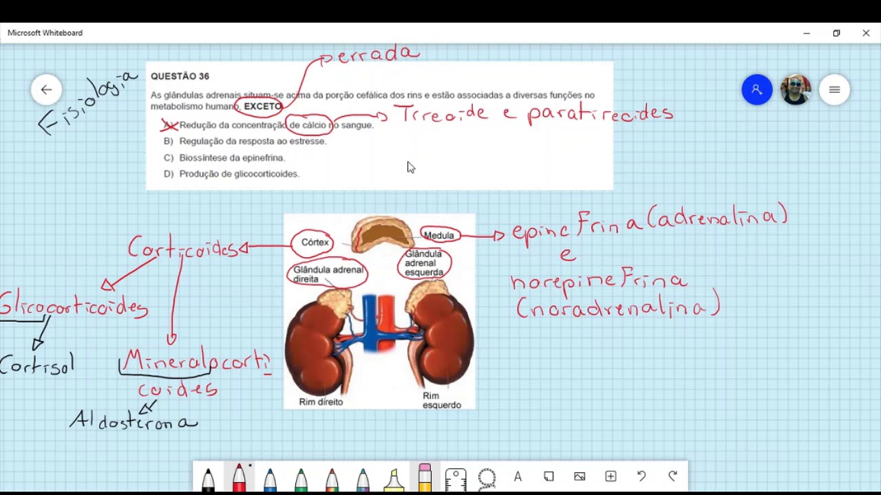 Prova de Biologia CFOBM-MG 2017