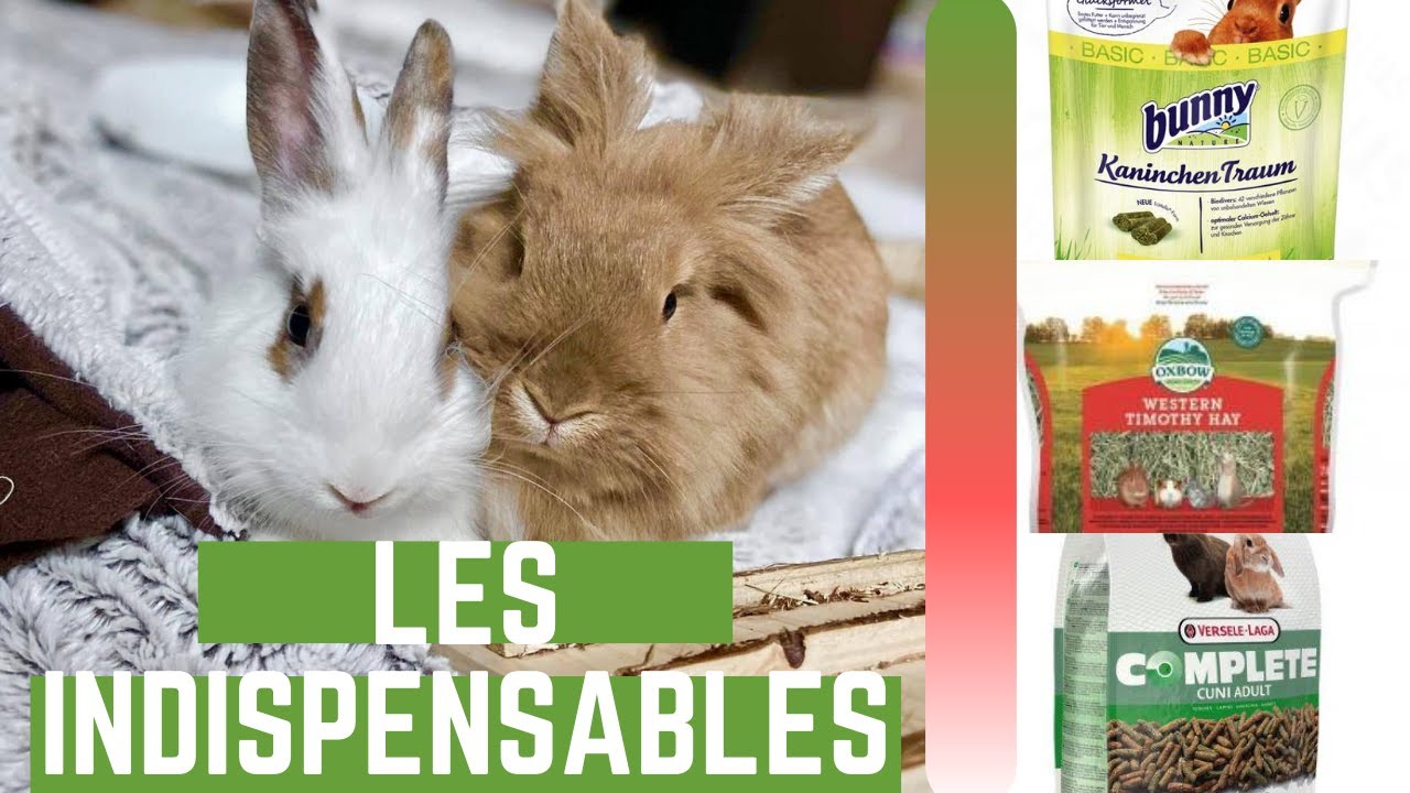 Les indispensables pour votre lapin !