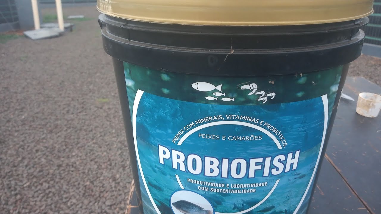#psicultura porquê usar probiótico na piscicultura use PROBIOSH
