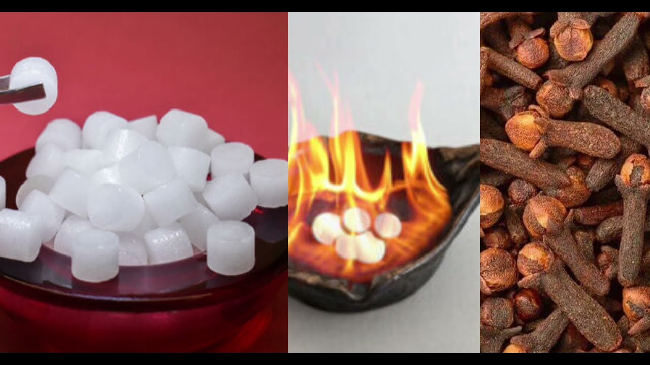 16 जनवरी 2026 नए साल का पहला प्रदोष 4 लौंग और कपूर घर में जला देना करोड़ों में खेलोगे |