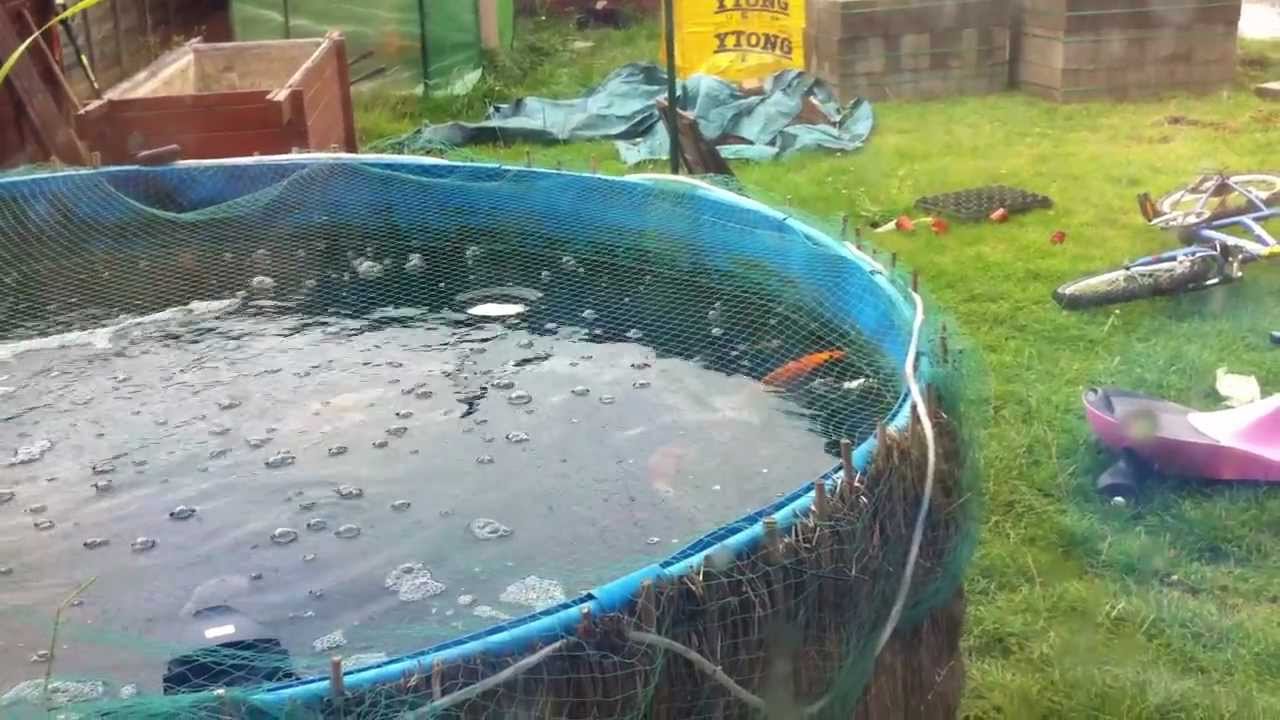 Oase aqua skim 40 #carpfishing #ponds #koi #animals #ice #fish