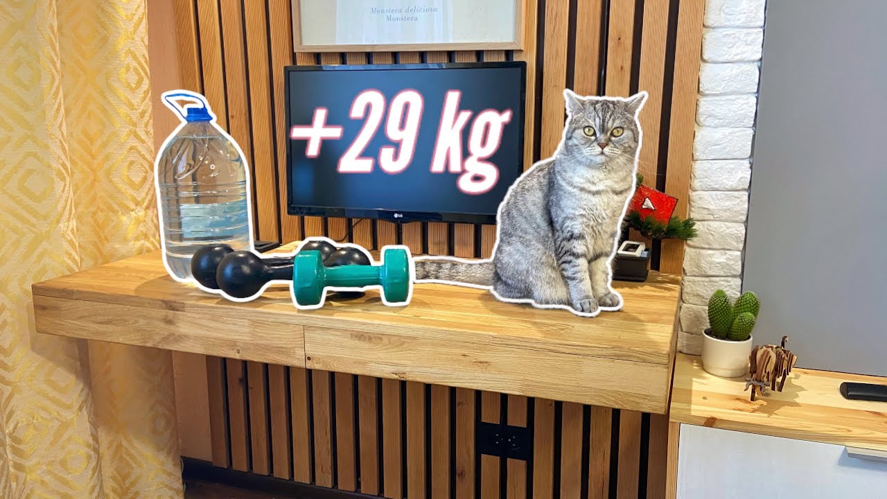 Тест на прочность подвесного стола! 🏋🏼 Какую нагрузку он сможет выдержать?