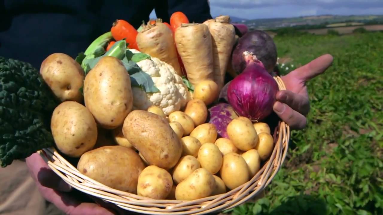 Mash Direct's First TV Advert