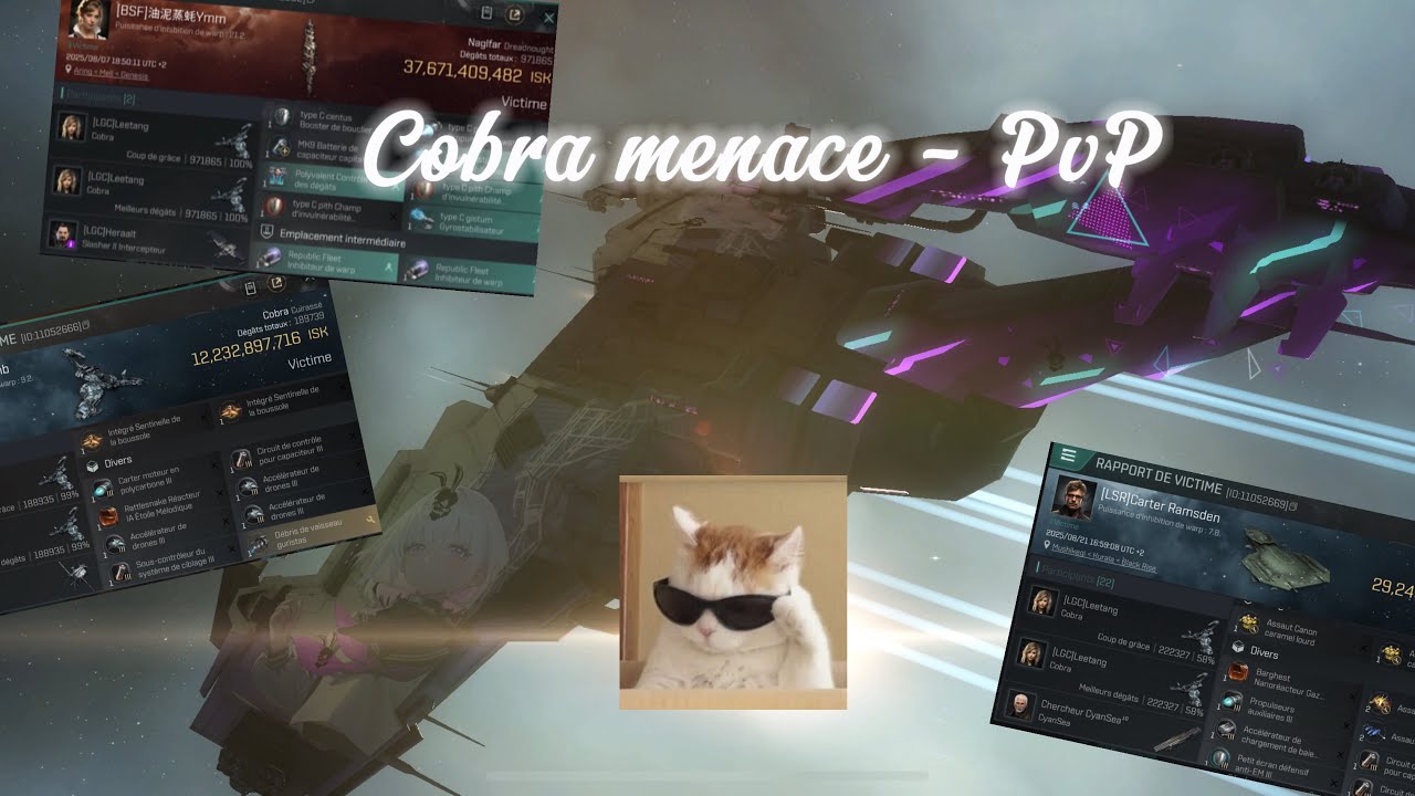 Eve Echoes - Cobra PvP 