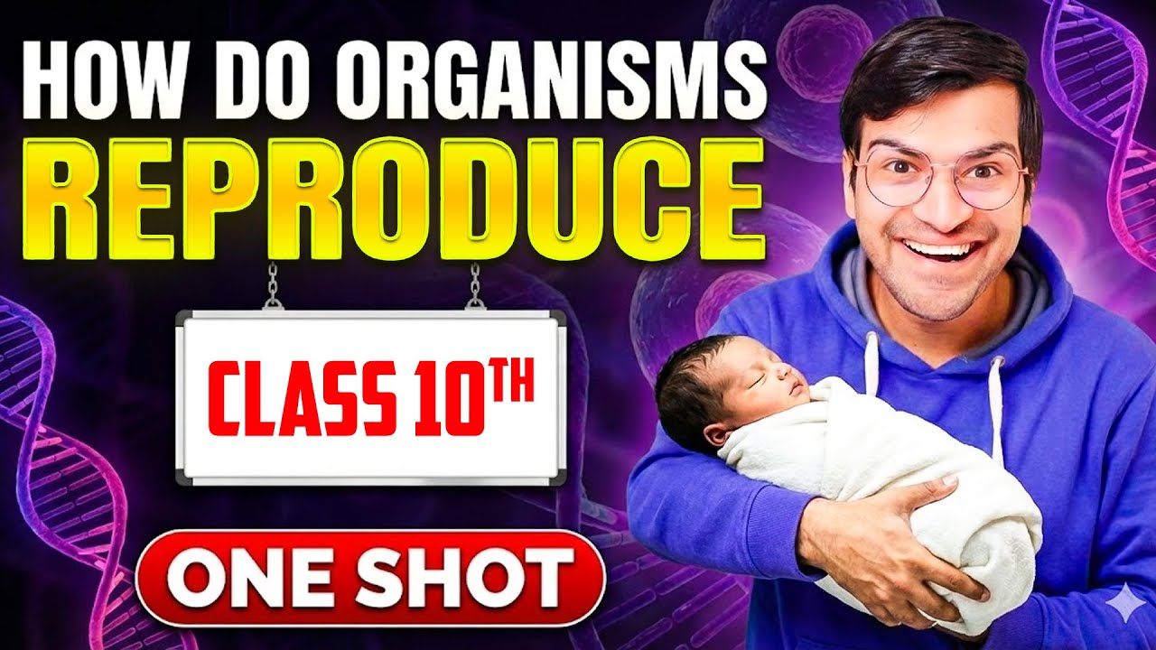 HOW DO ORGANISMS REPRODUCE ONE SHOT || Class 10 Science Biology Rapid Revision || NCERT Notes