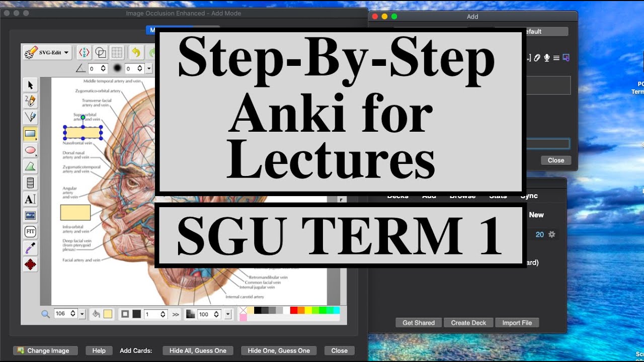 Make KILLER Anki cards from med school lectures! | SGU Medical School Term 1