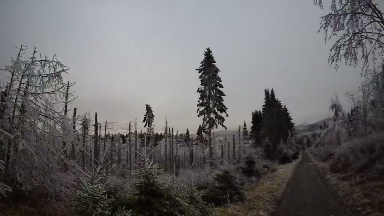 Hiking from Brocken to Ilsenburg ❄️ | Snowy Harz Mountains Trail #germany #winterwonderland #goslar