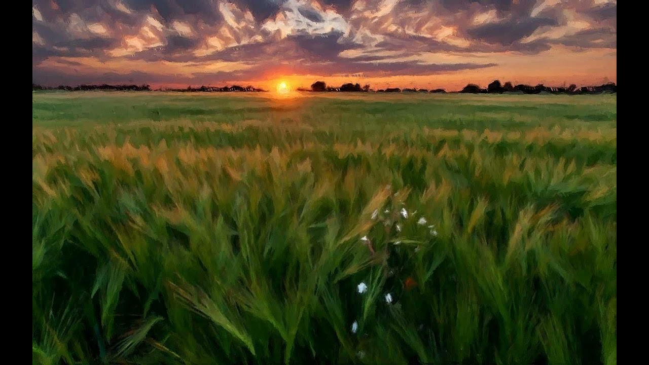 Concert ,In the evening in the field