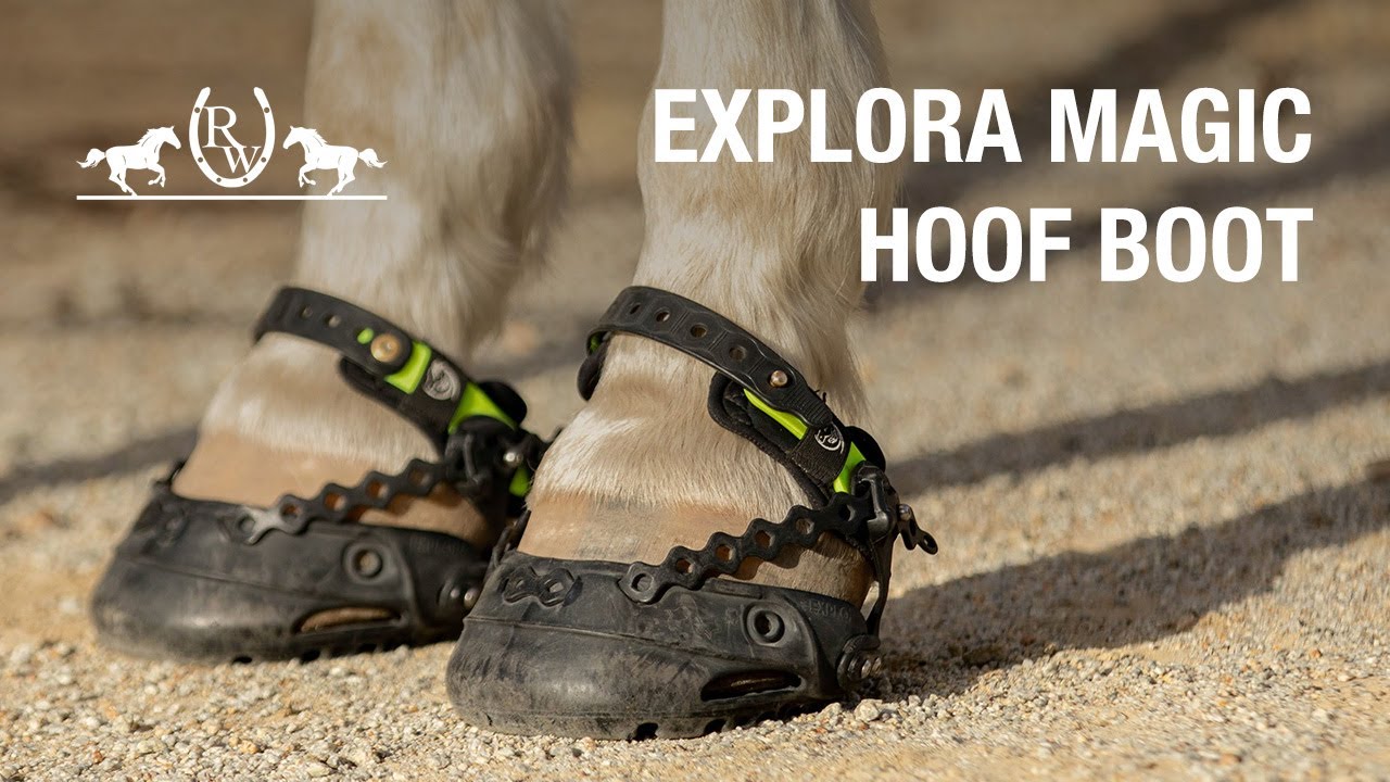Explora Magic Hoof Boot Review