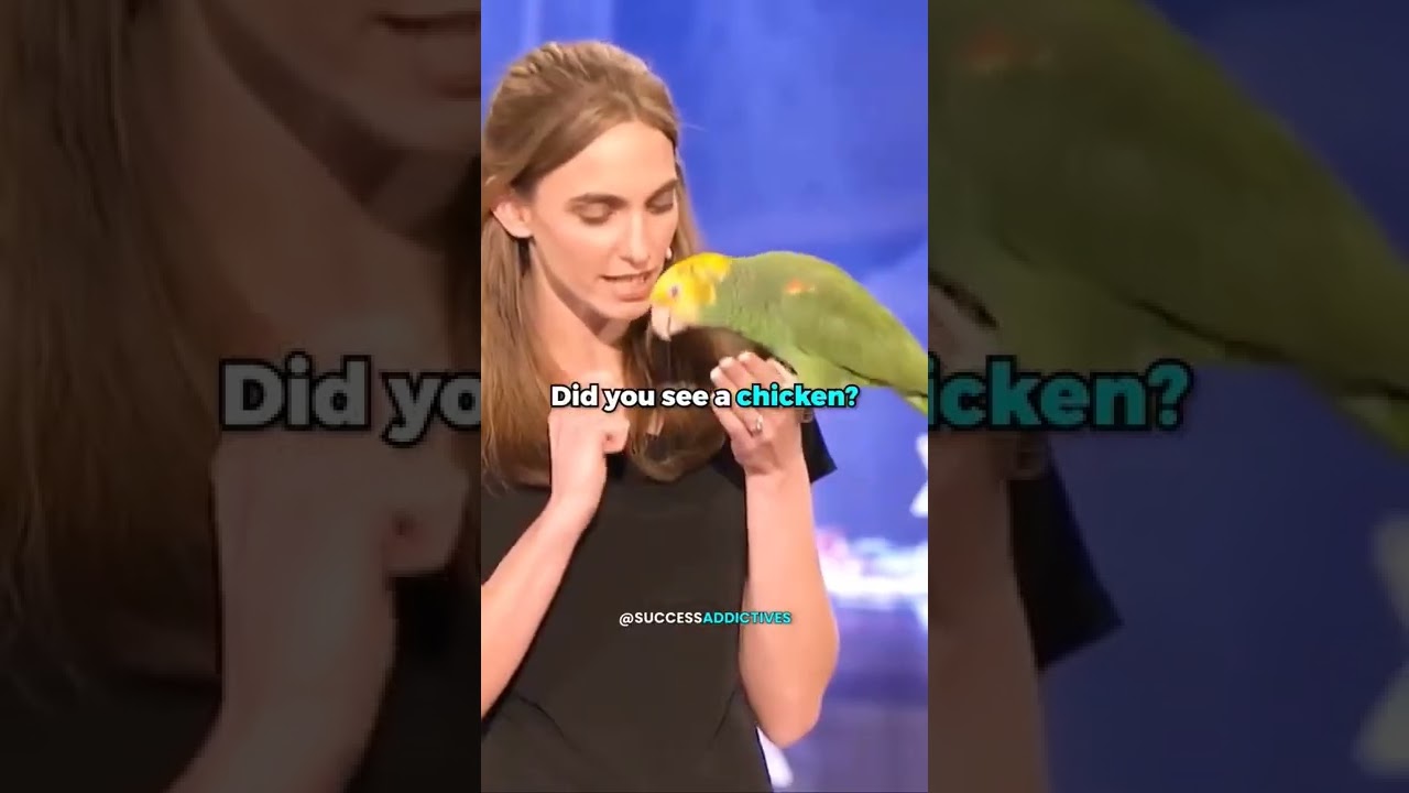Echo the talking bird from Animal Gardens - America's Got Talent Audition - Season 6 