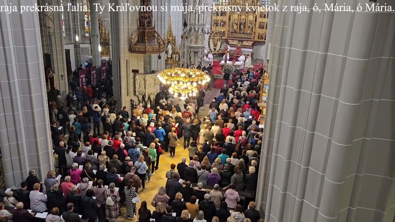 Na jemných krídlach mája (Dóm sv. Alžbety)