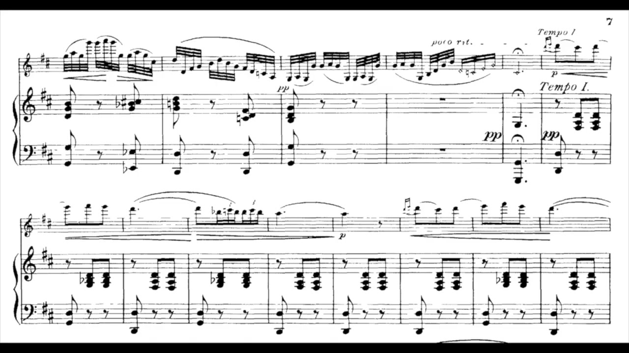 Malagueña Sarasate Karaoke