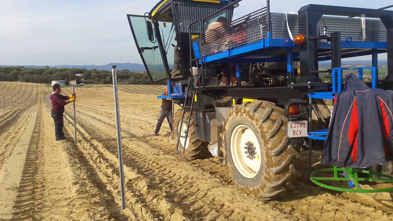 colocacion de postes de viña con vendimiadora new holland